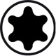 Vis Torx